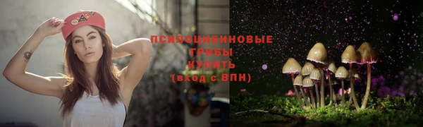 гидропоника Беломорск