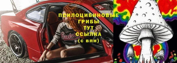 марки lsd Белокуриха