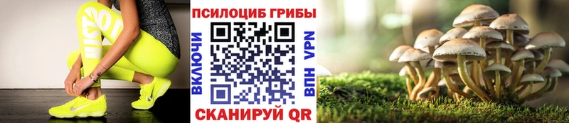 наркошоп  Высоцк  нарко площадка состав  Псилоцибиновые грибы Psilocybe 